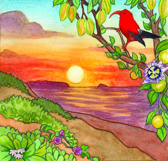 Winter Sun $28 ~ Full Bodied, Smooth, Juicy