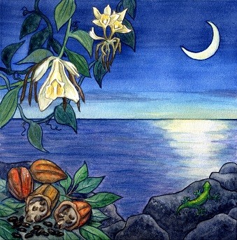 Cacao Moon $32 ~ Semi-Sweet, Bubbly, Decadent